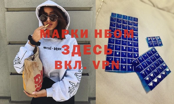 индика Арсеньев
