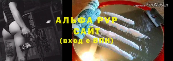 индика Арсеньев