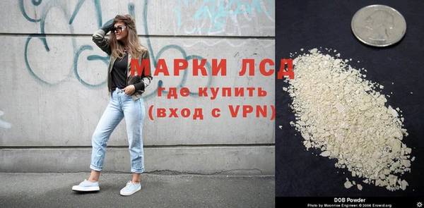 индика Арсеньев
