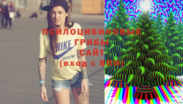 амф Алзамай