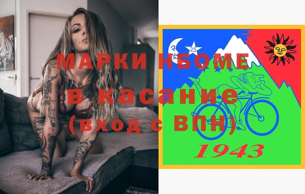 индика Арсеньев