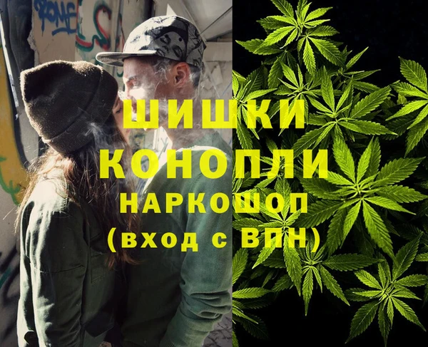 индика Арсеньев