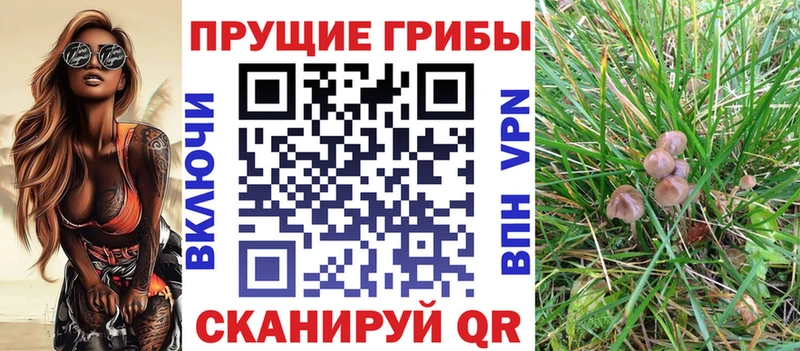 Галлюциногенные грибы Magic Shrooms  Купить закладки  Лесной 