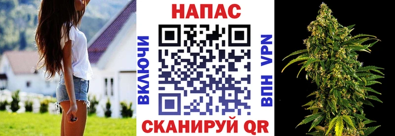 Купить  Лесной  МАРИХУАНА гибрид 